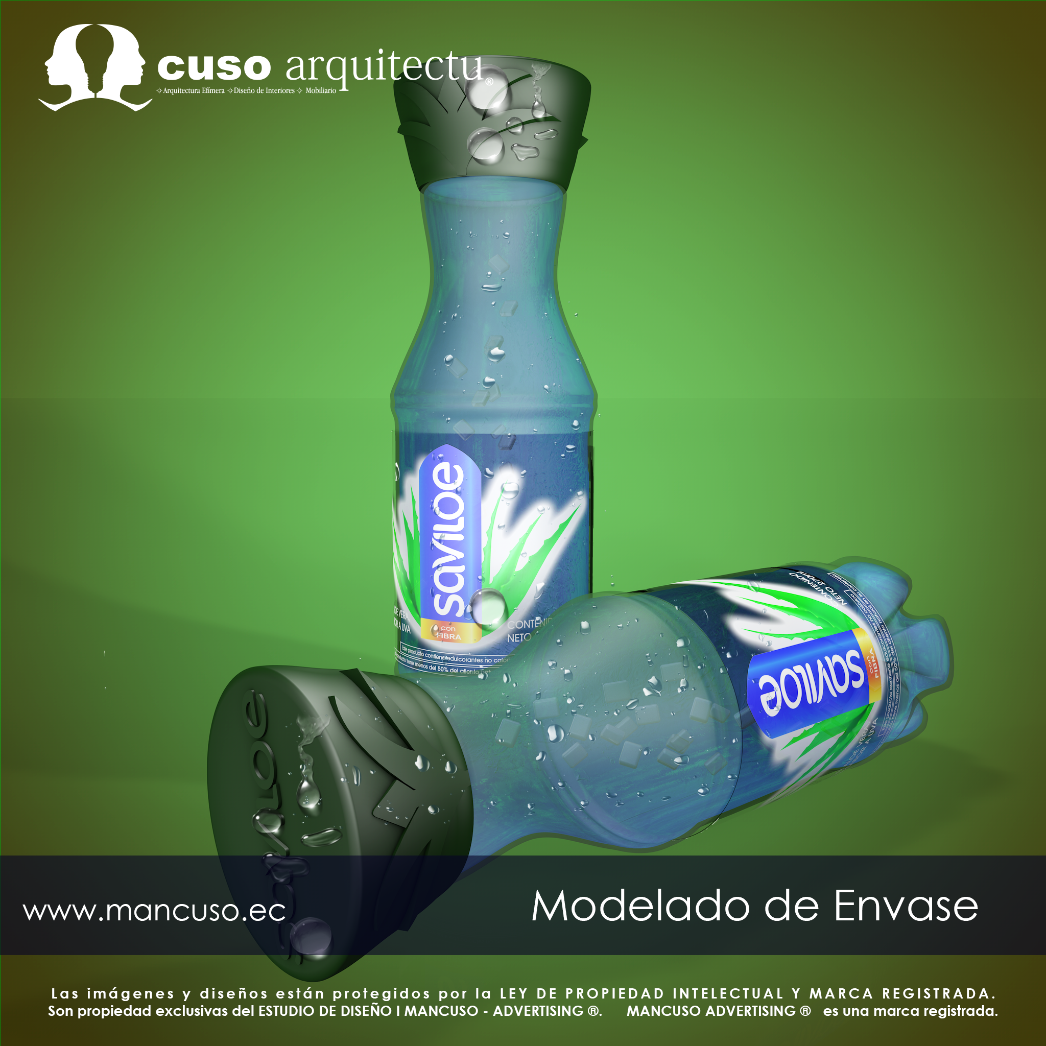 Modelado de Envase Saviloe